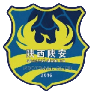 陕西陕安 陕西陕安